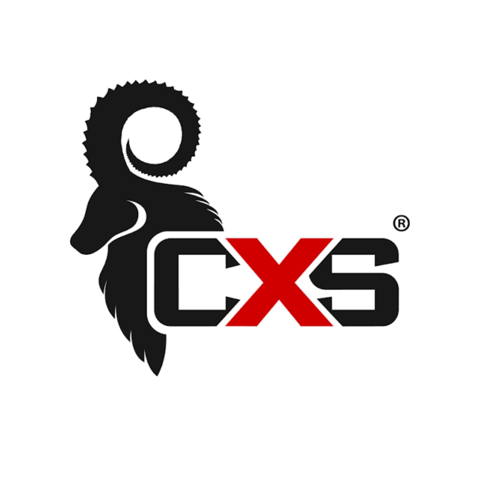 CXS Workwear